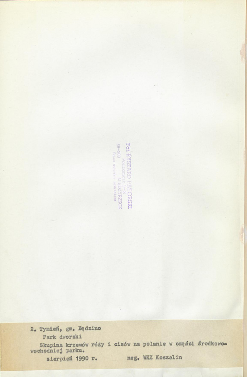 Ewidencja parkowa, skan nr 21