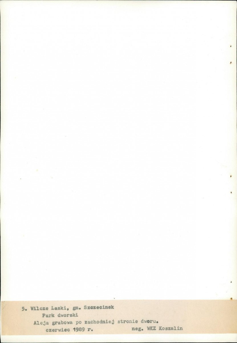 Ewidencja parkowa, skan nr 29