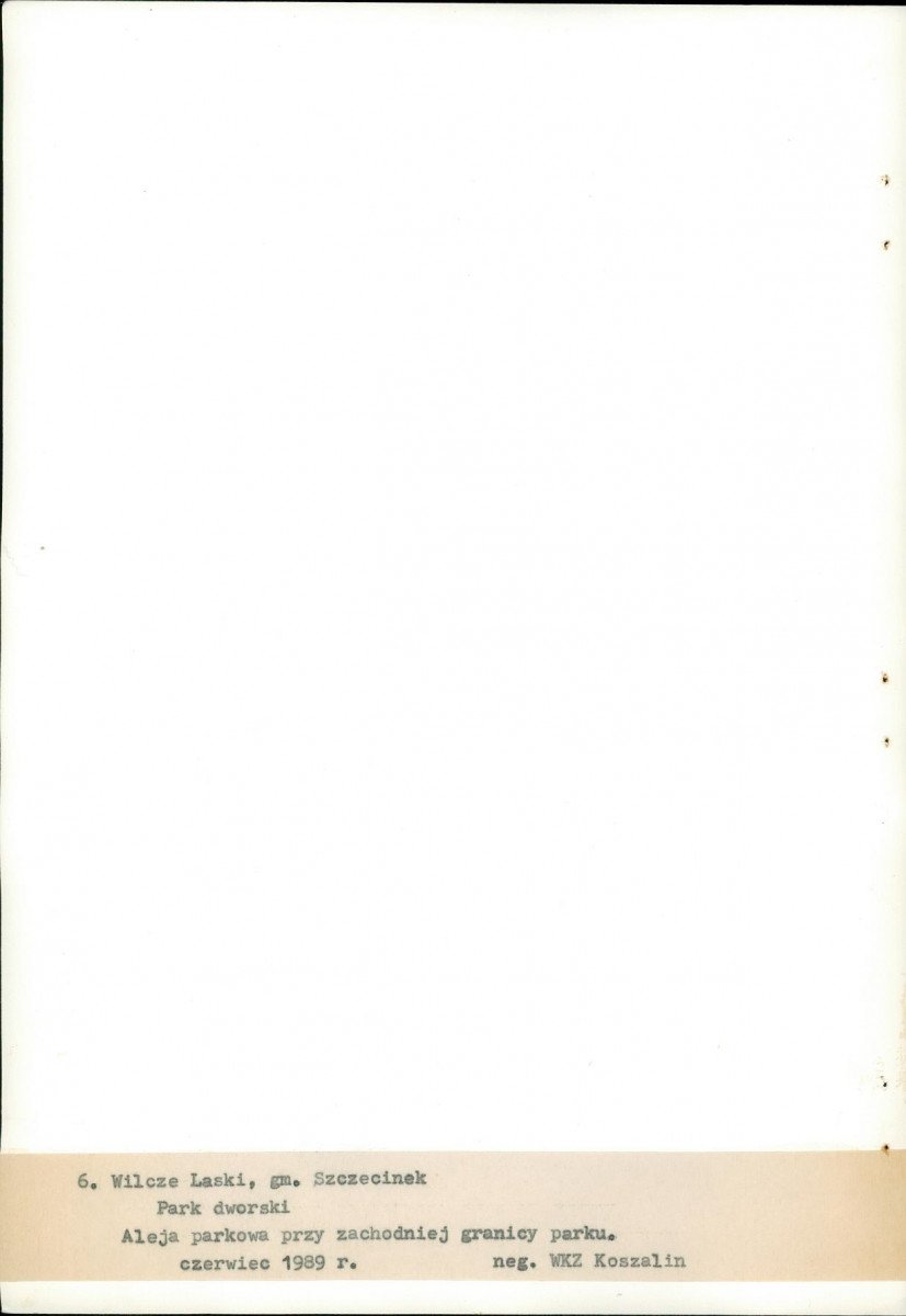 Ewidencja parkowa, skan nr 31