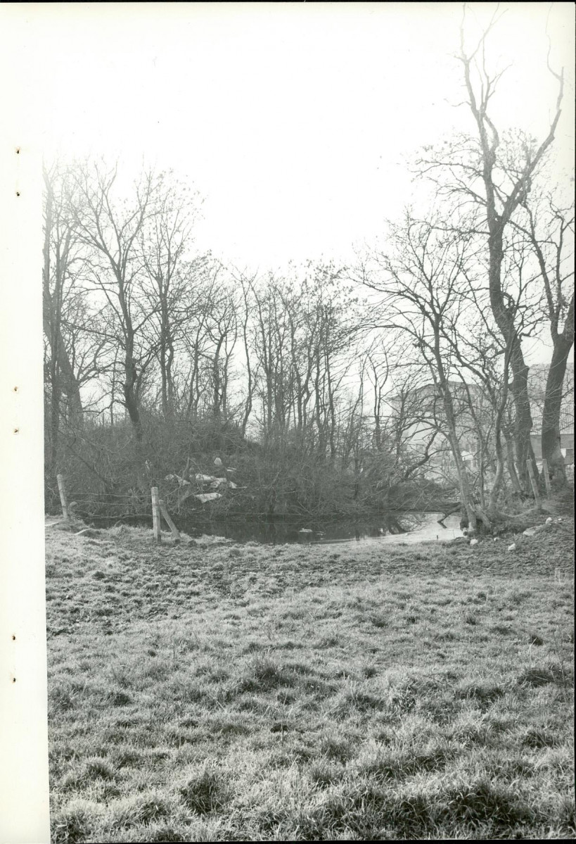 Ewidencja parkowa, skan nr 19