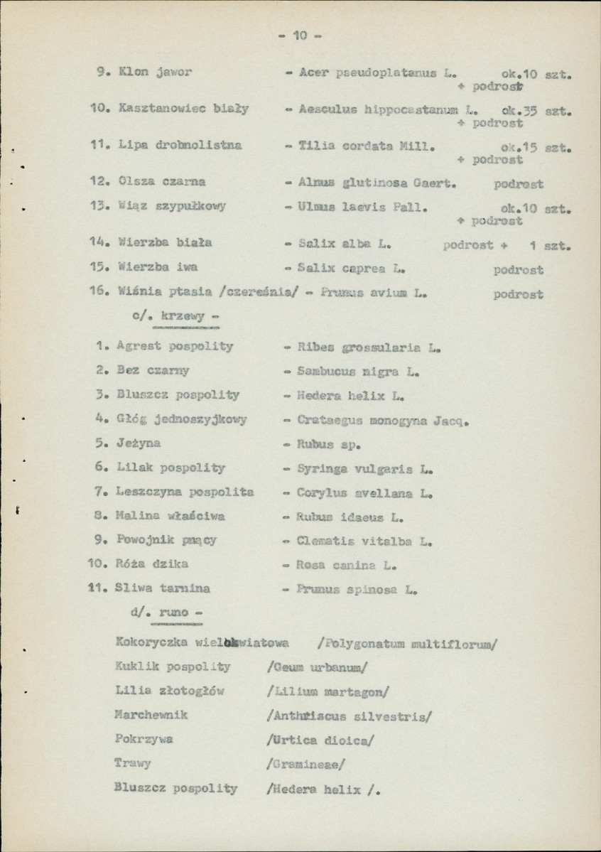 Ewidencja parkowa, skan nr 13