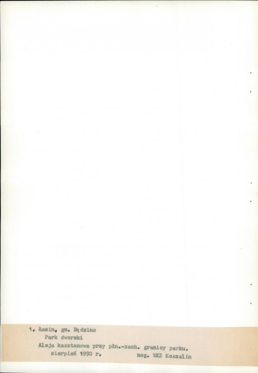 Ewidencja parkowa, skan nr 23