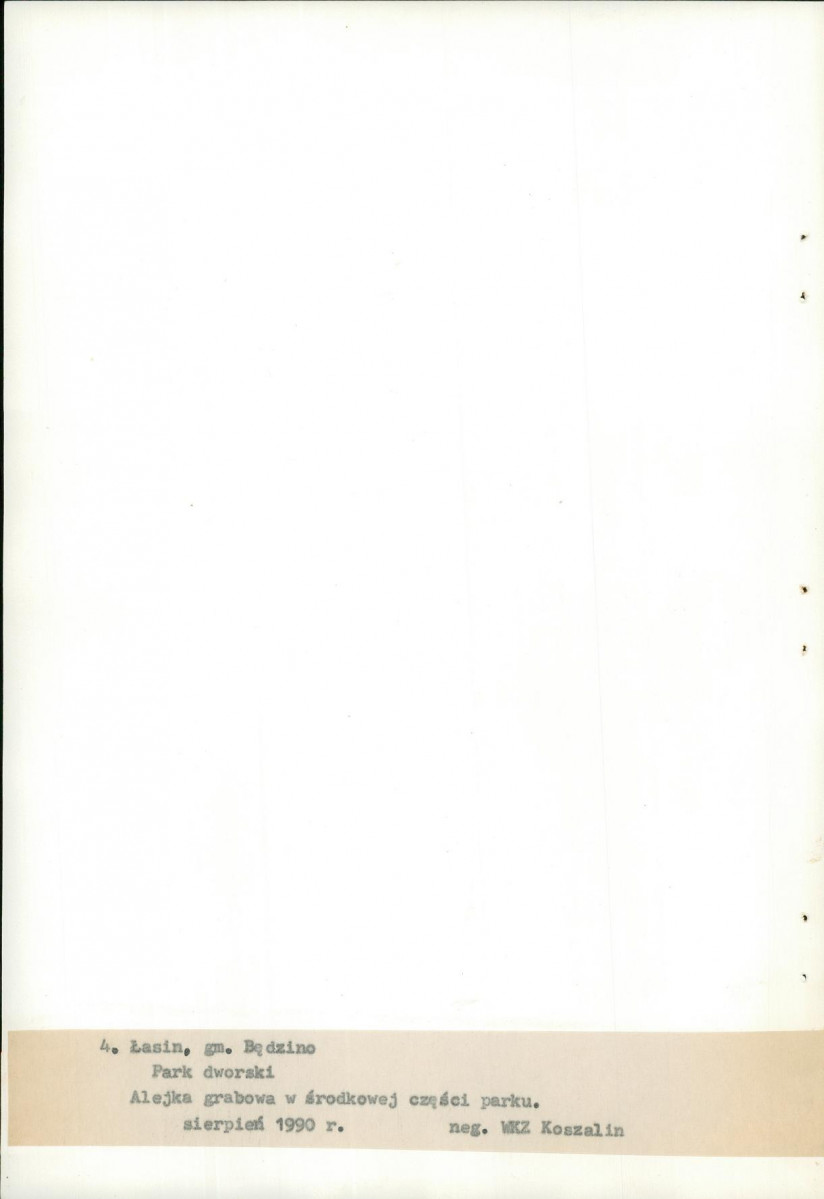 Ewidencja parkowa, skan nr 29