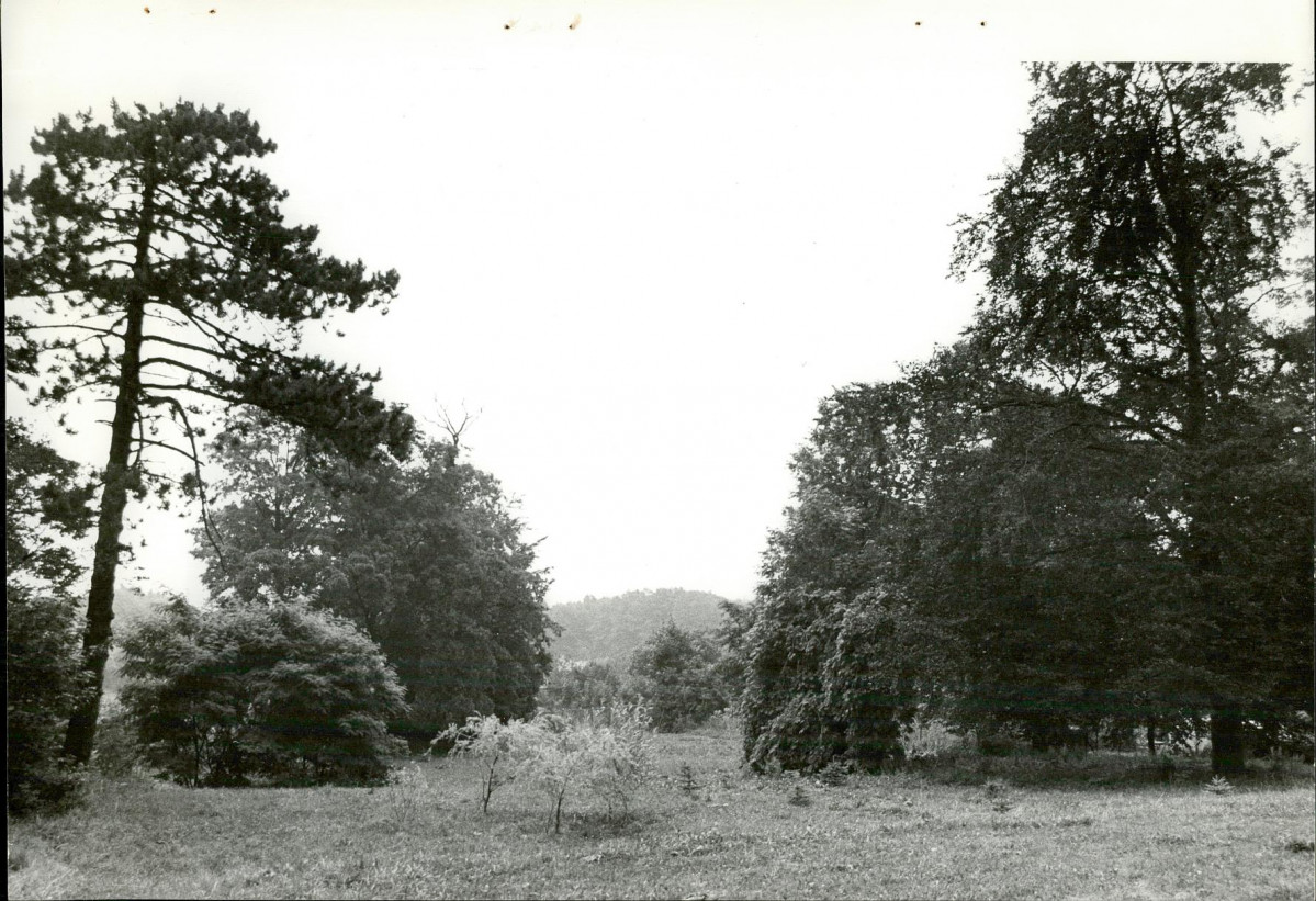 Ewidencja parkowa, skan nr 22