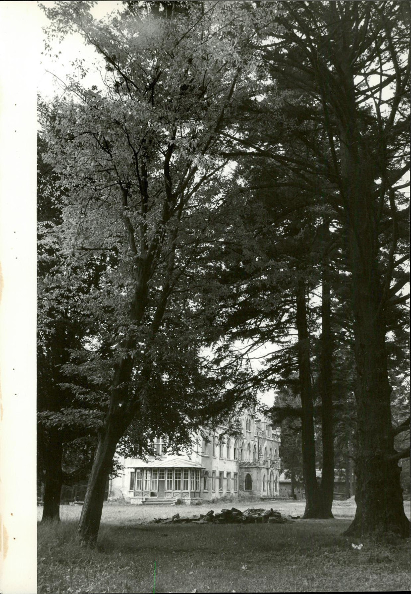 EP - Ewidencja parkowa, skan nr 58
