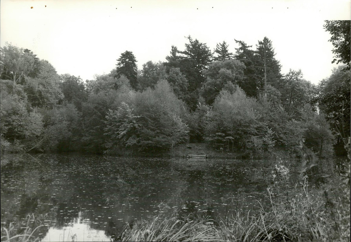 EP - Ewidencja parkowa, skan nr 64