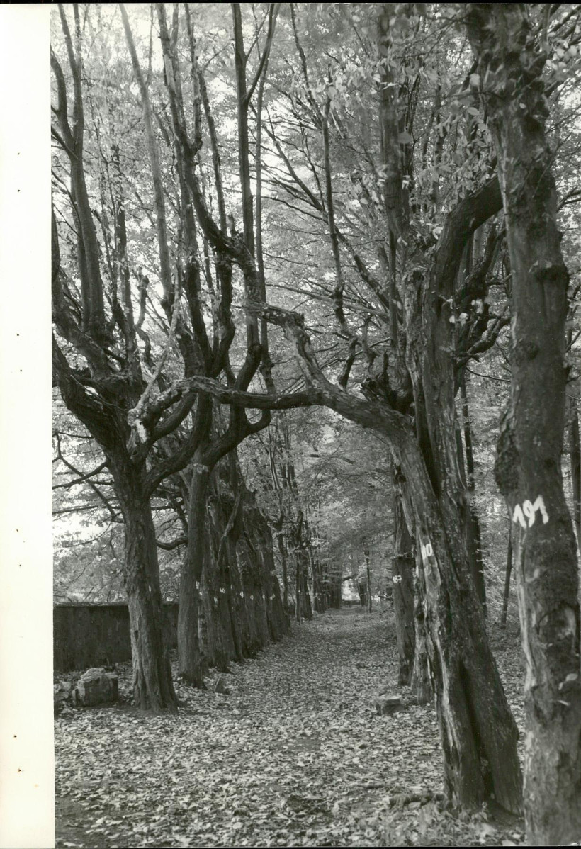 EP - Ewidencja parkowa, skan nr 68