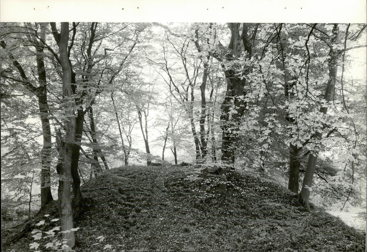 EP - Ewidencja parkowa, skan nr 74