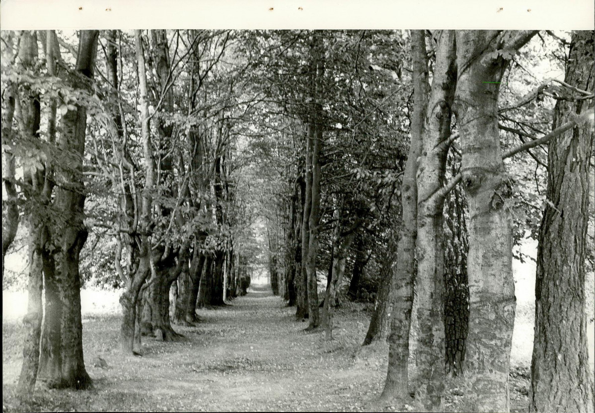 Ewidencja parkowa, skan nr 32