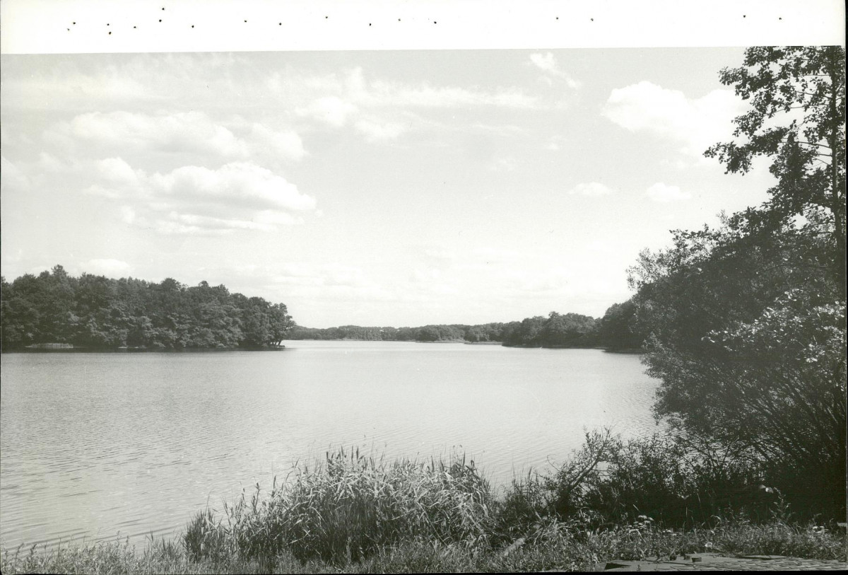Ewidencja parkowa, skan nr 51