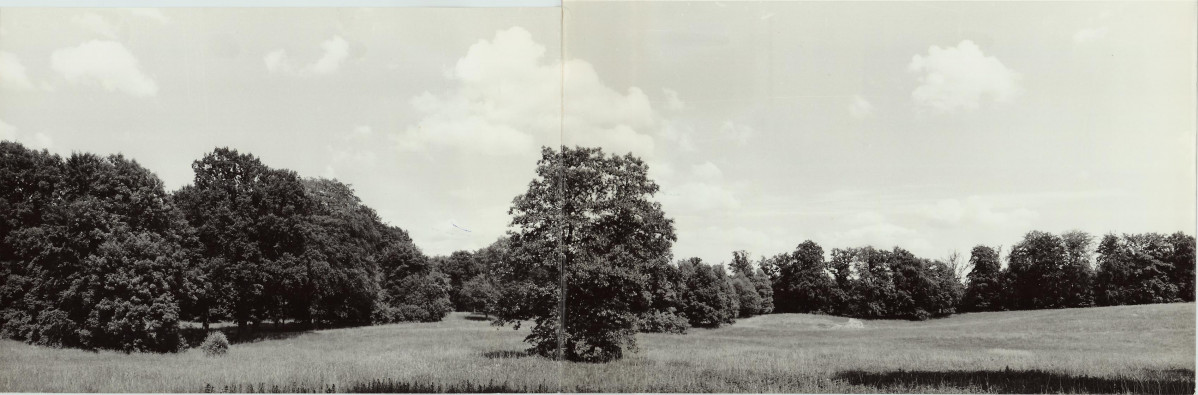 Ewidencja parkowa, skan nr 59