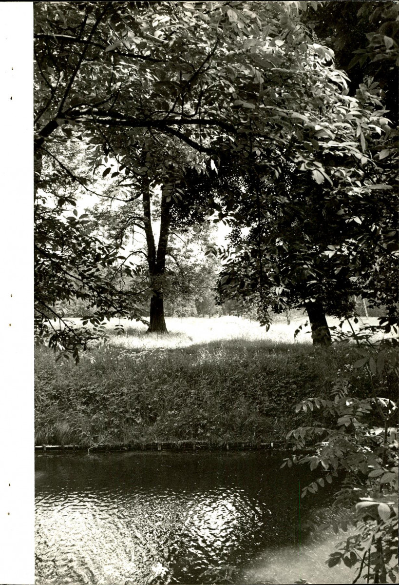 EP - Ewidencja parkowa, skan nr 24