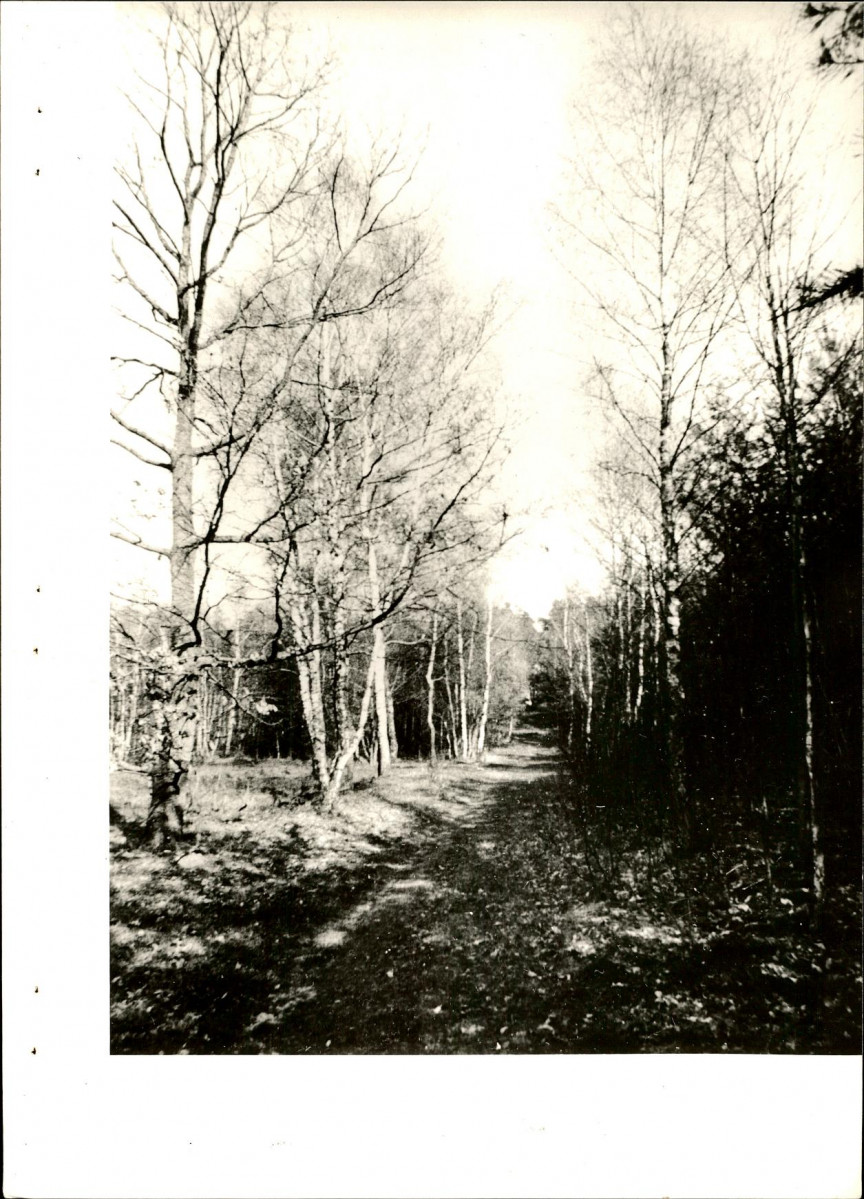 EP - Ewidencja parkowa, skan nr 26