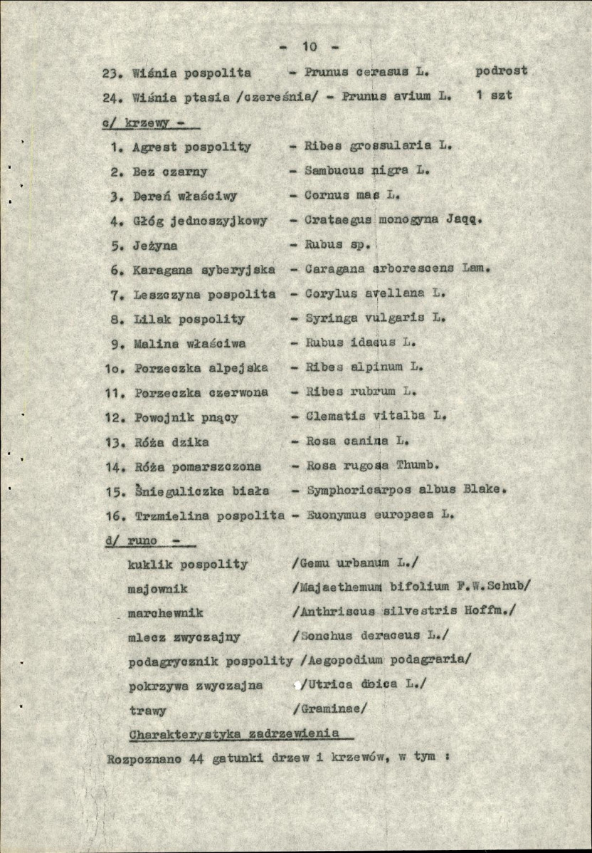EP - Ewidencja parkowa, skan nr 13