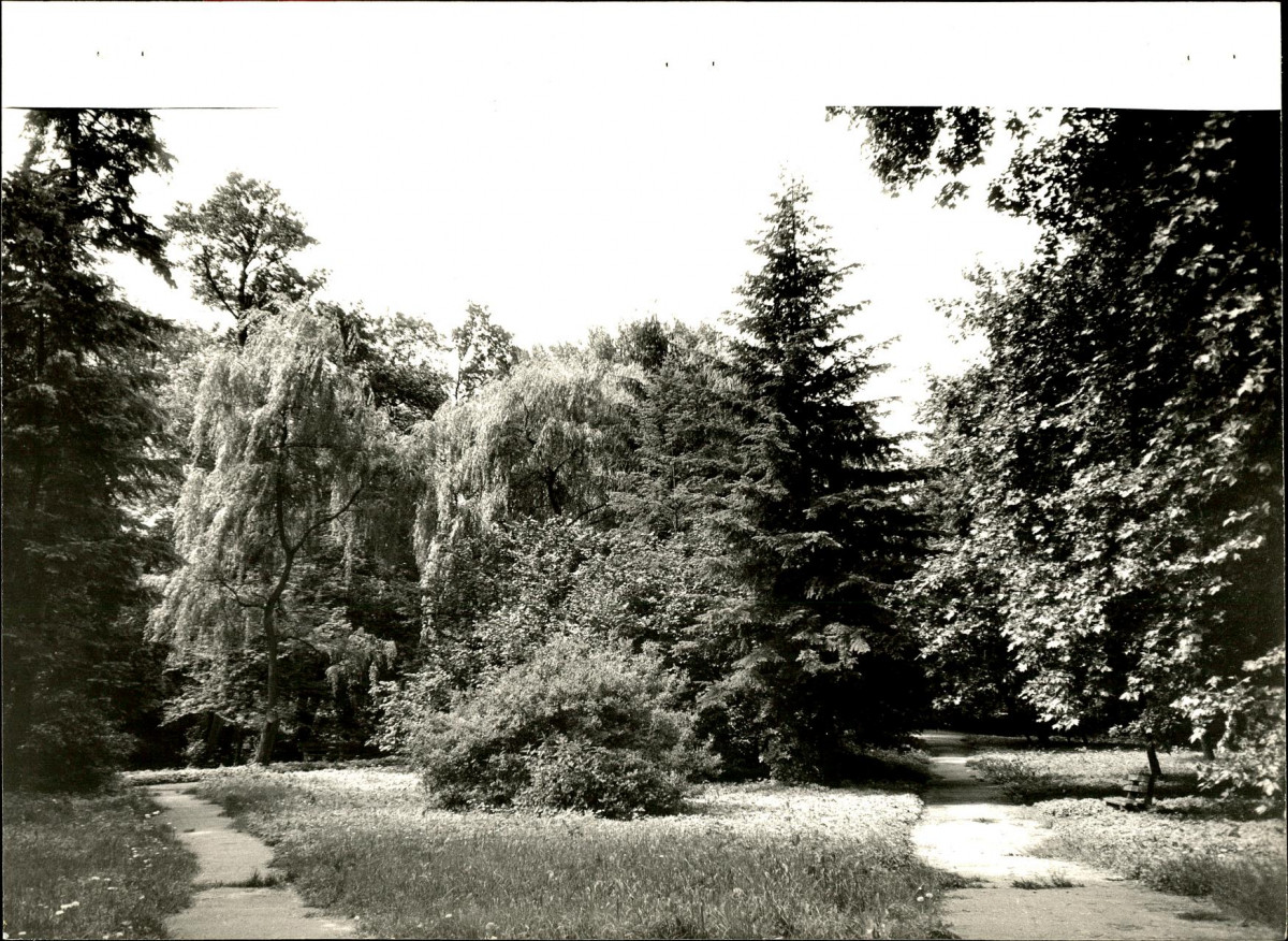 Ewidencja parkowa, skan nr 41