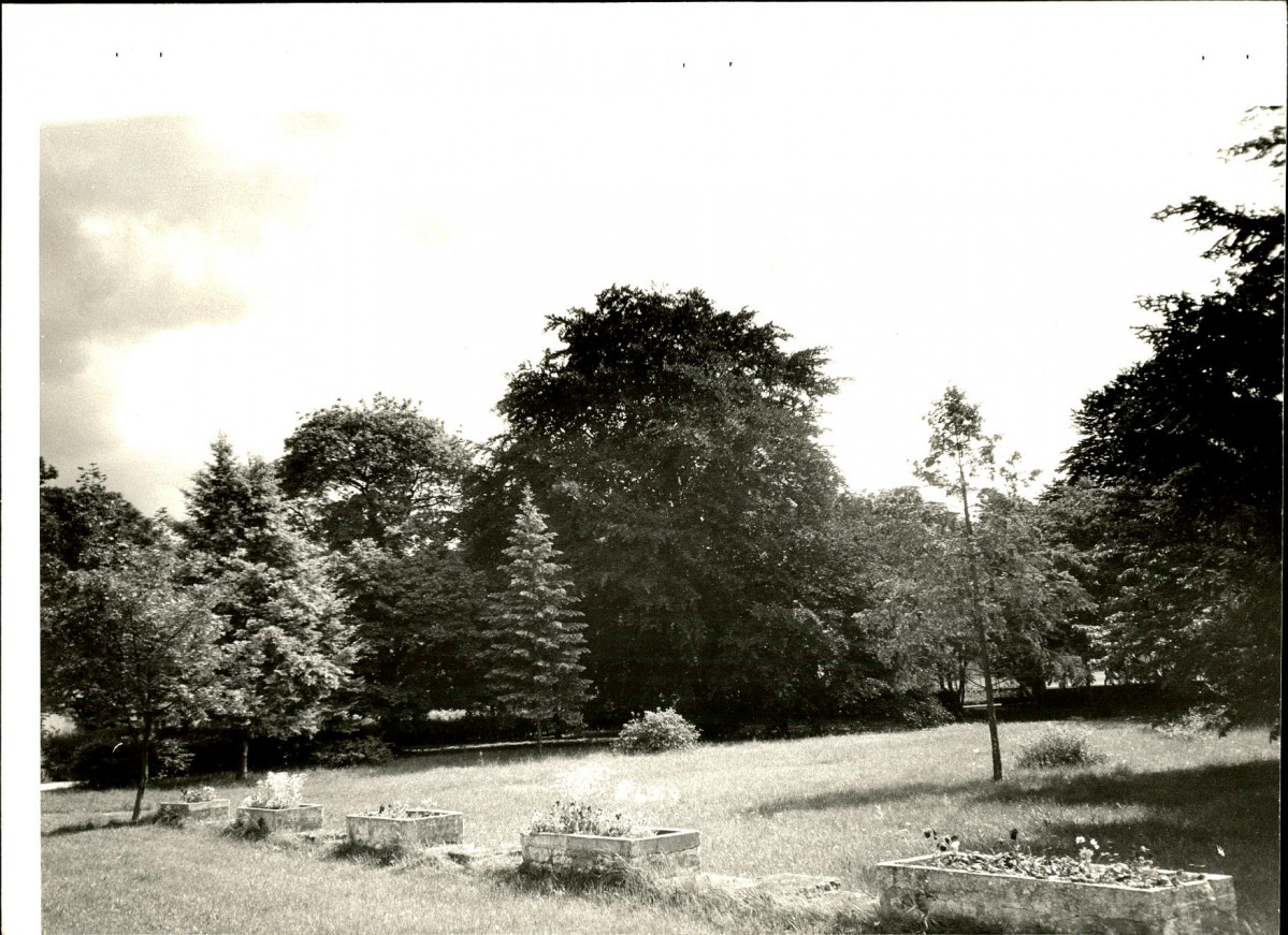 Ewidencja parkowa, skan nr 49
