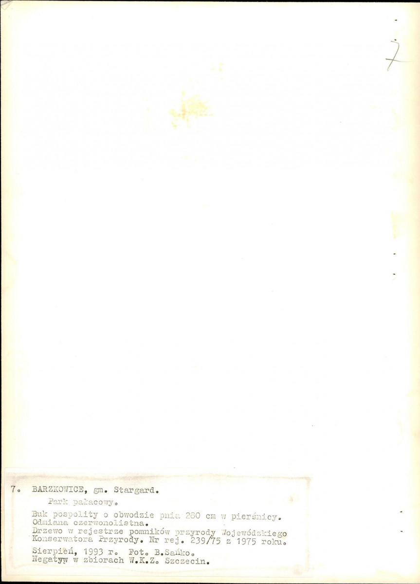 Ewidencja parkowa, skan nr 54