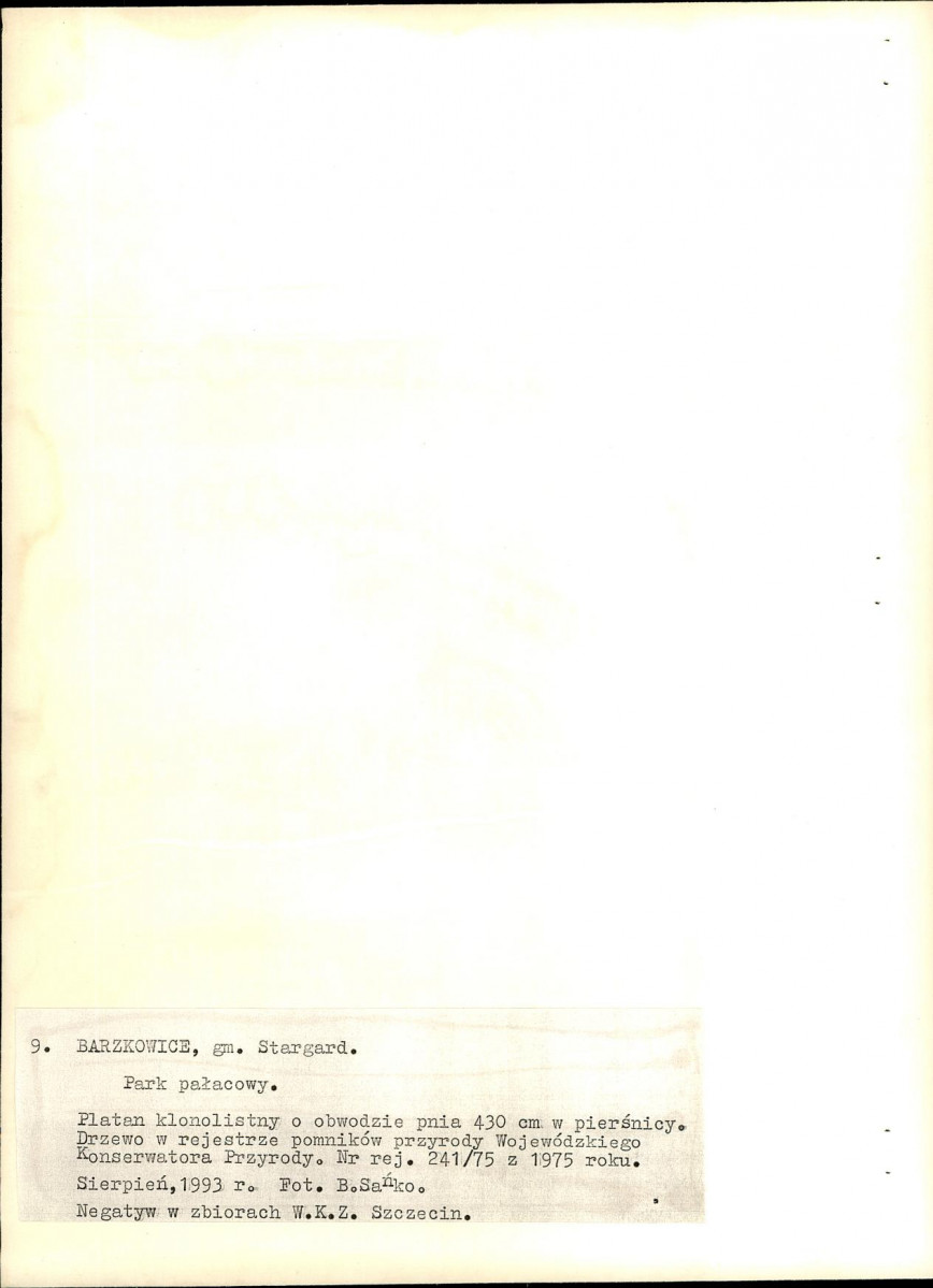 Ewidencja parkowa, skan nr 58