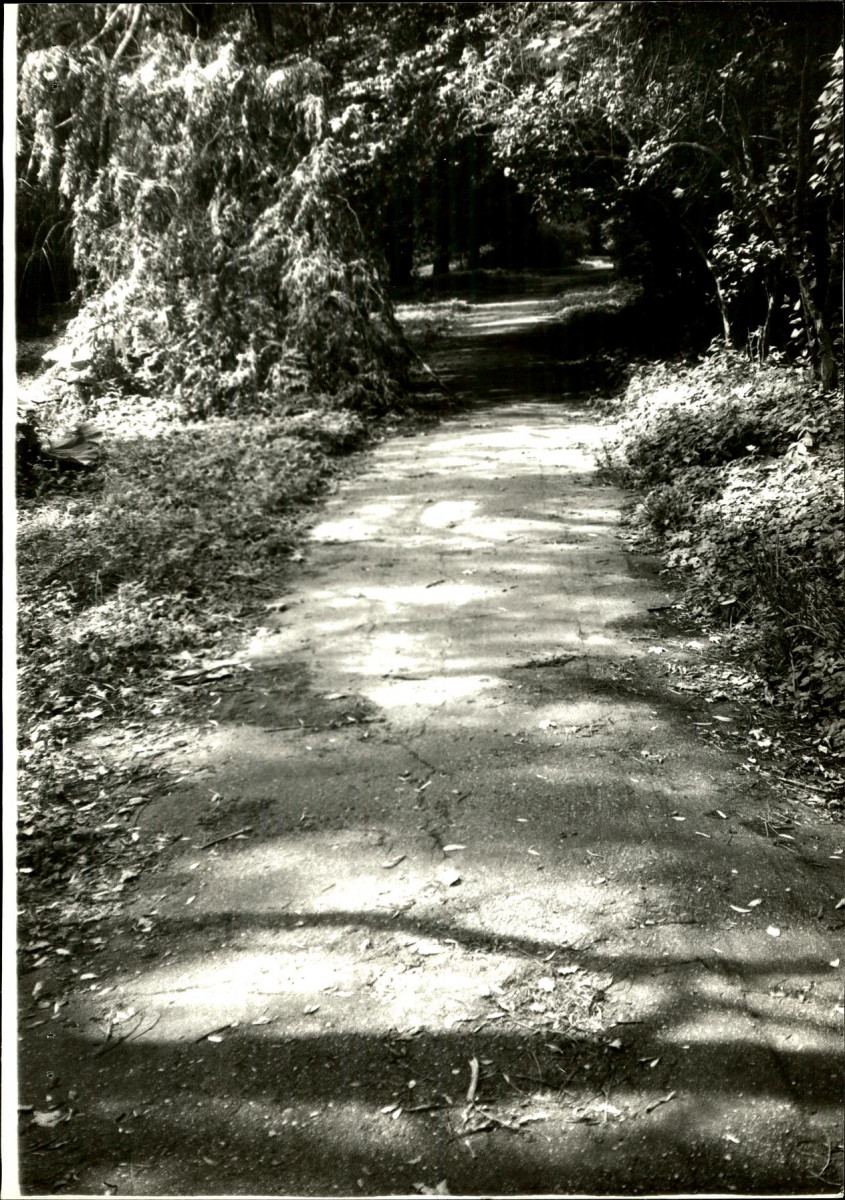 Ewidencja parkowa, skan nr 63