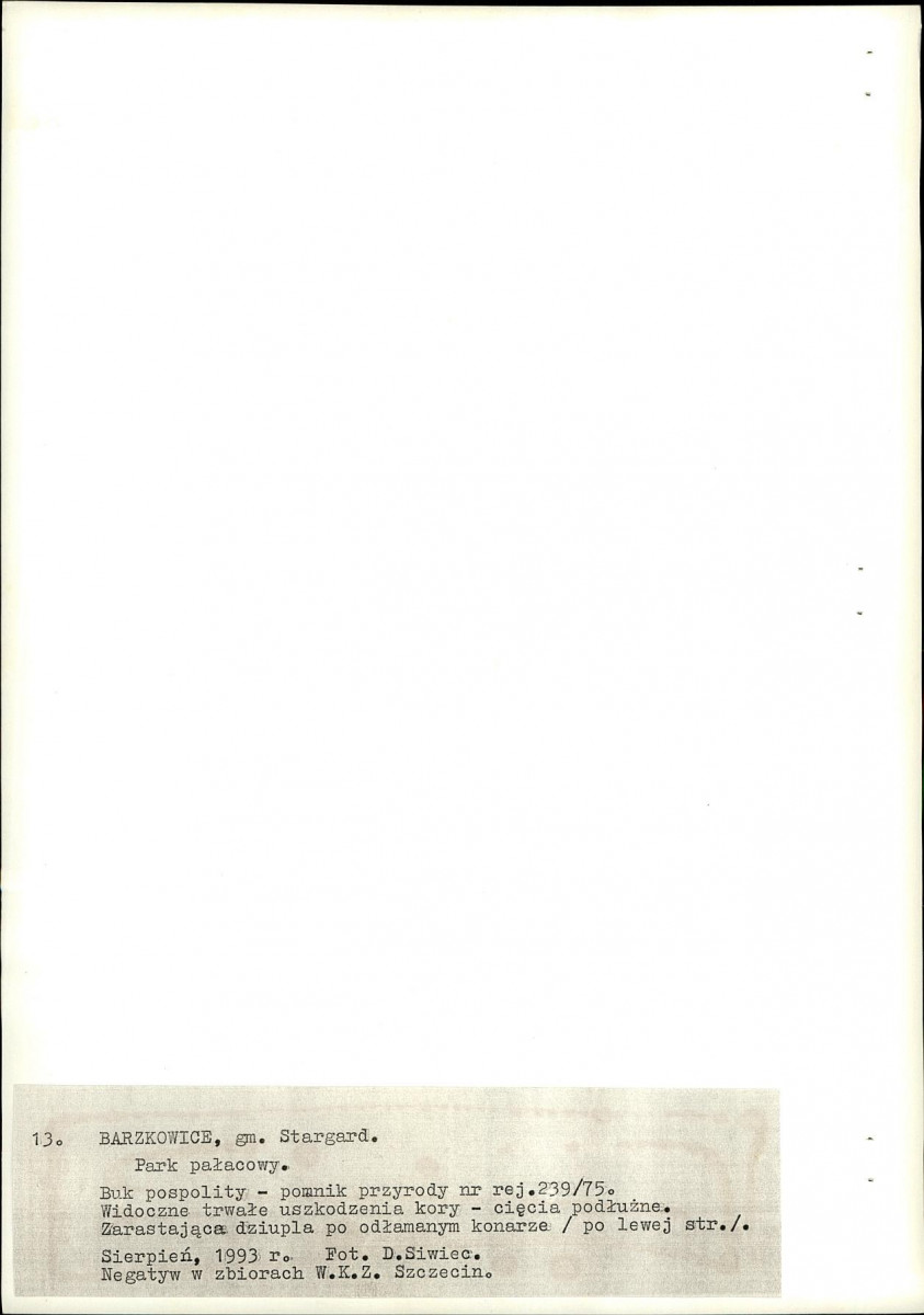 Ewidencja parkowa, skan nr 66