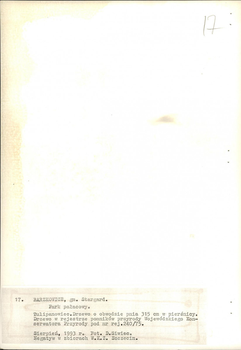 Ewidencja parkowa, skan nr 74