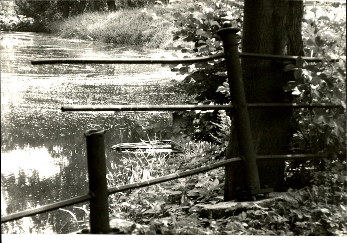 Ewidencja parkowa, skan nr 75