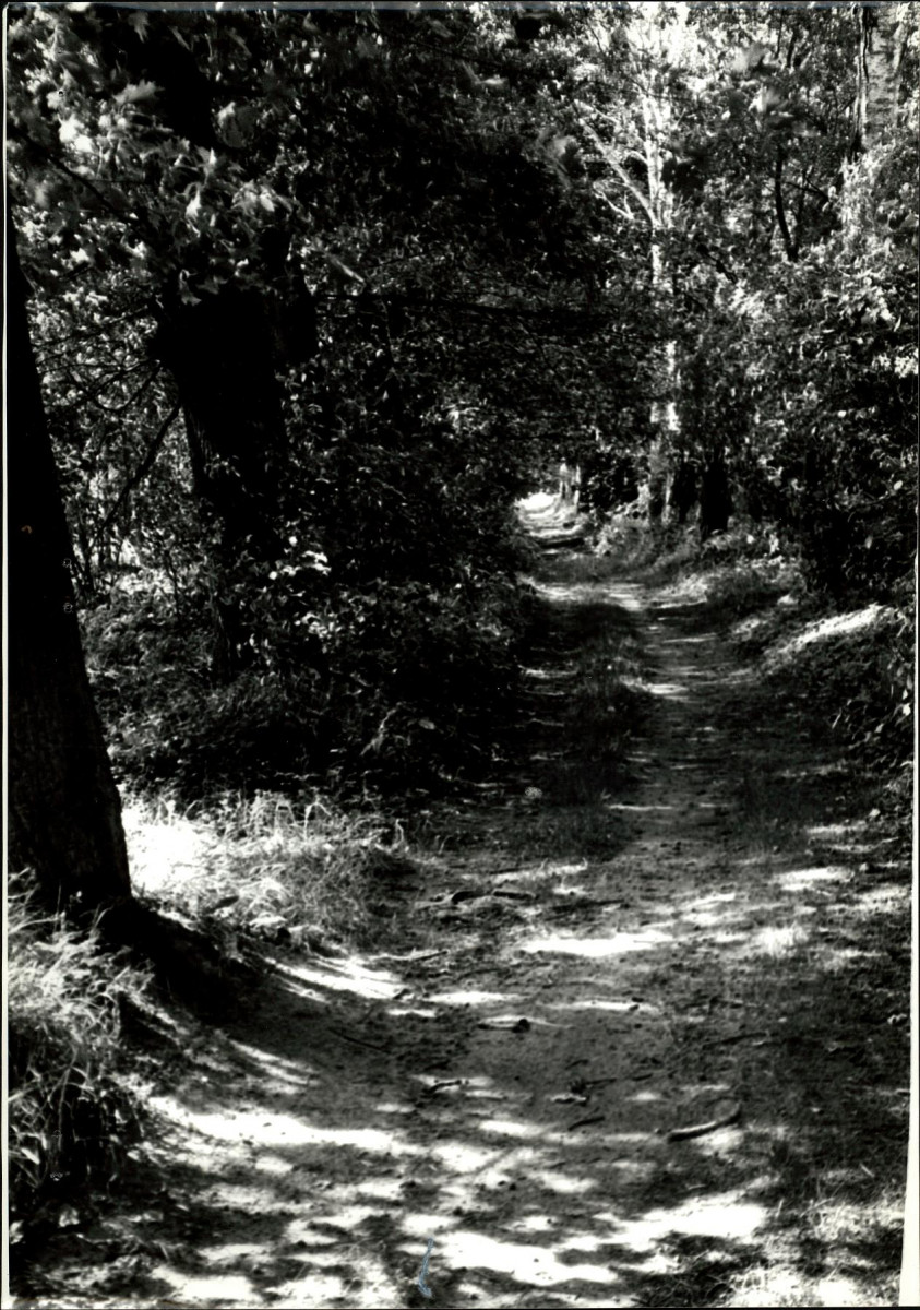 Ewidencja parkowa, skan nr 79