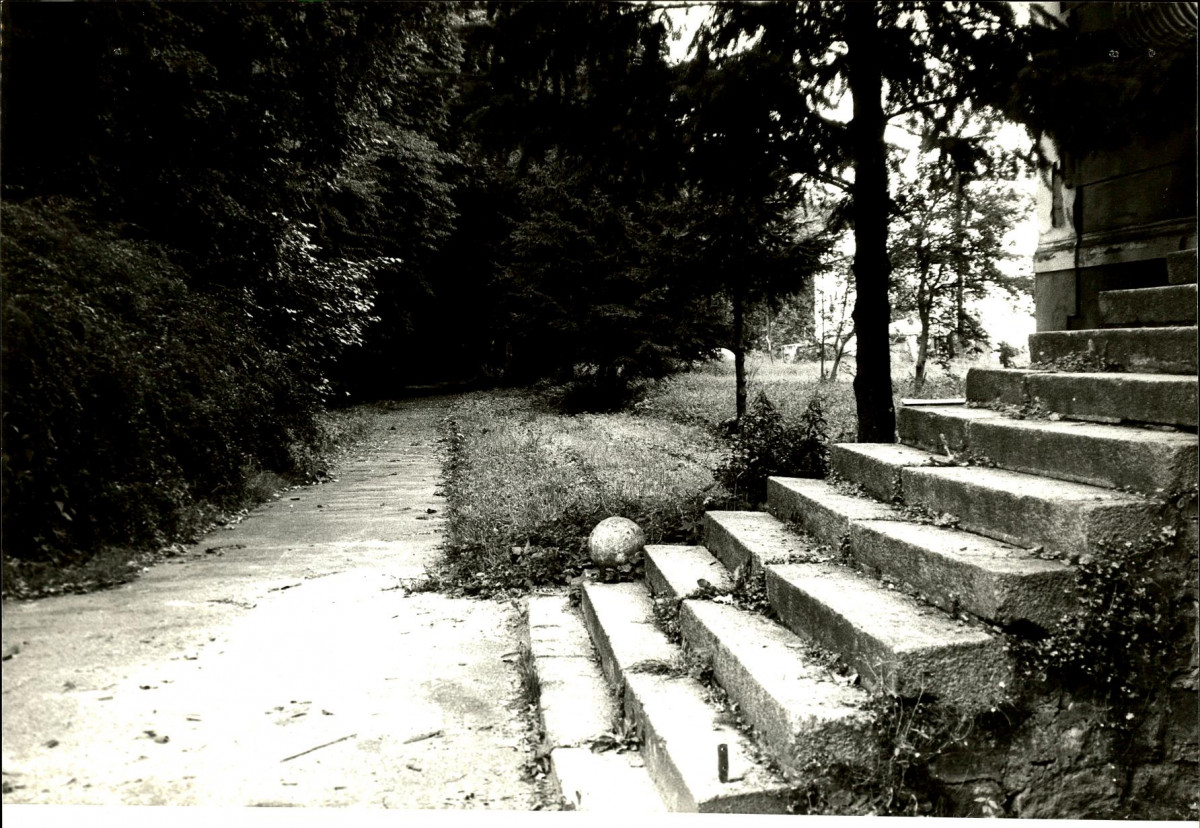 Ewidencja parkowa, skan nr 81