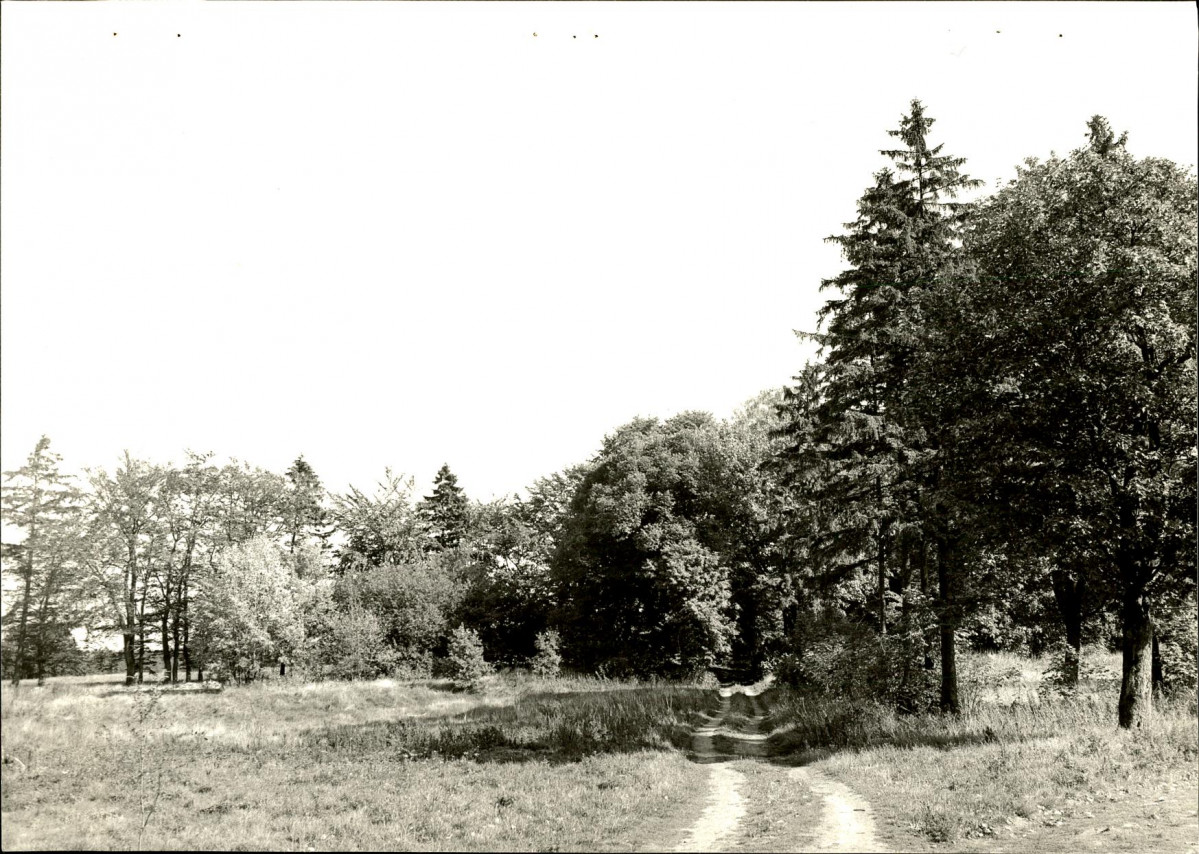 Ewidencja parkowa, skan nr 21