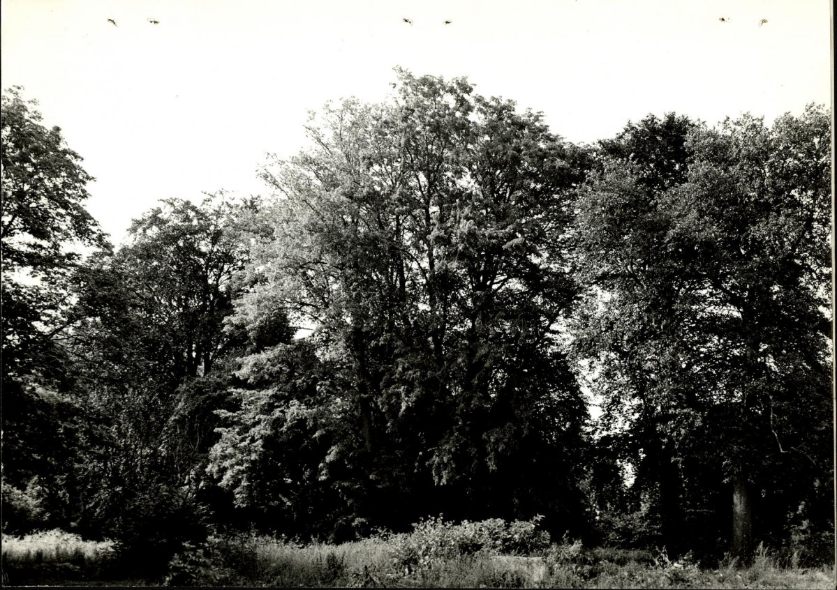 Ewidencja parkowa, skan nr 26