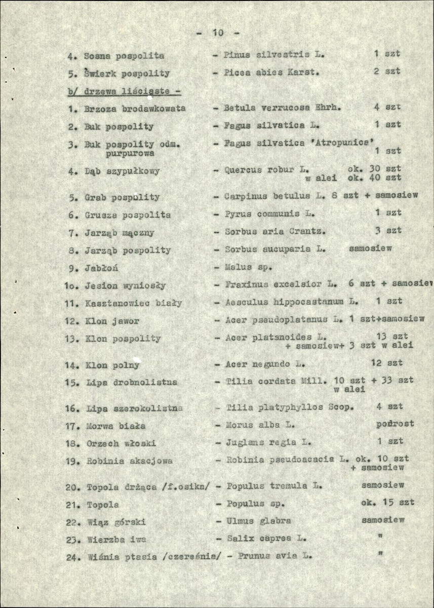Ewidencja parkowa, skan nr 13