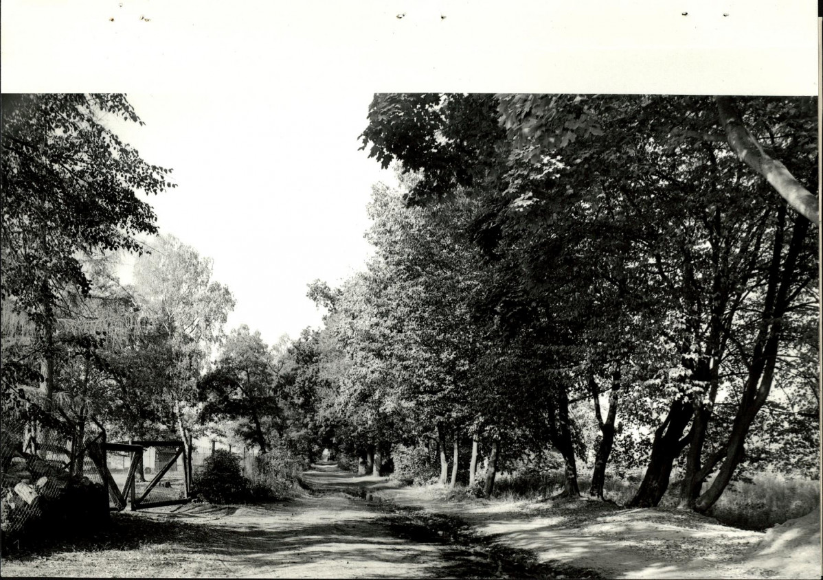 Ewidencja parkowa, skan nr 34