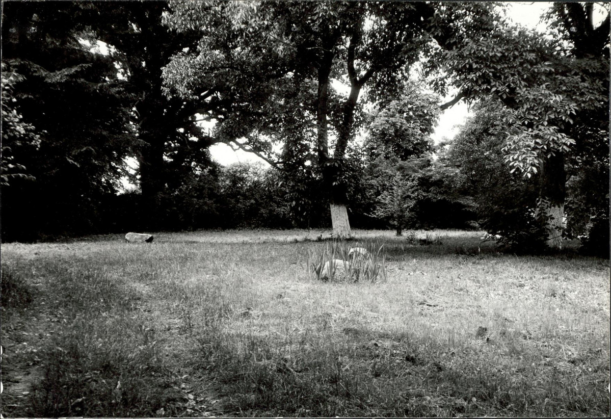 Ewidencja parkowa, skan nr 68