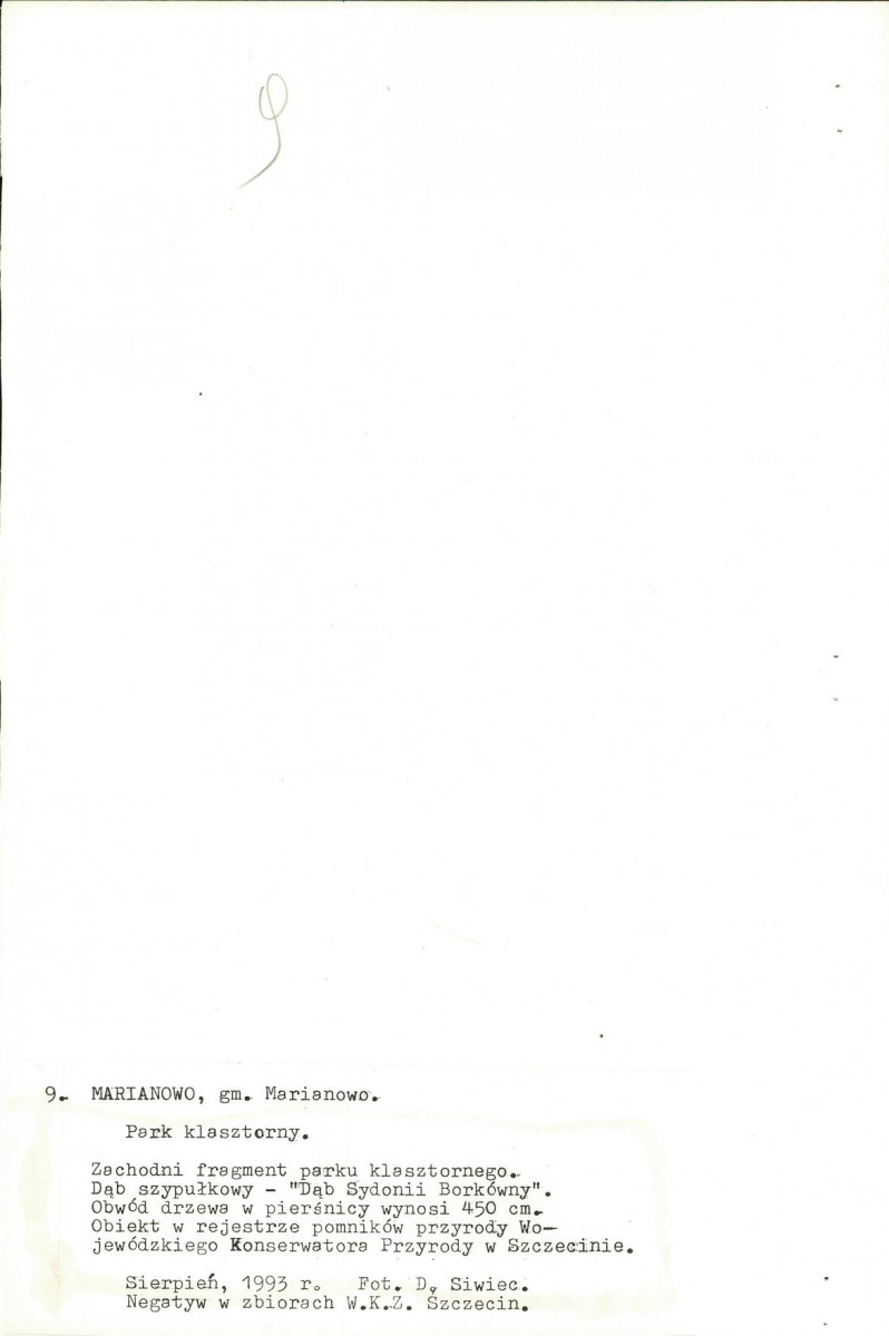 Ewidencja parkowa, skan nr 75