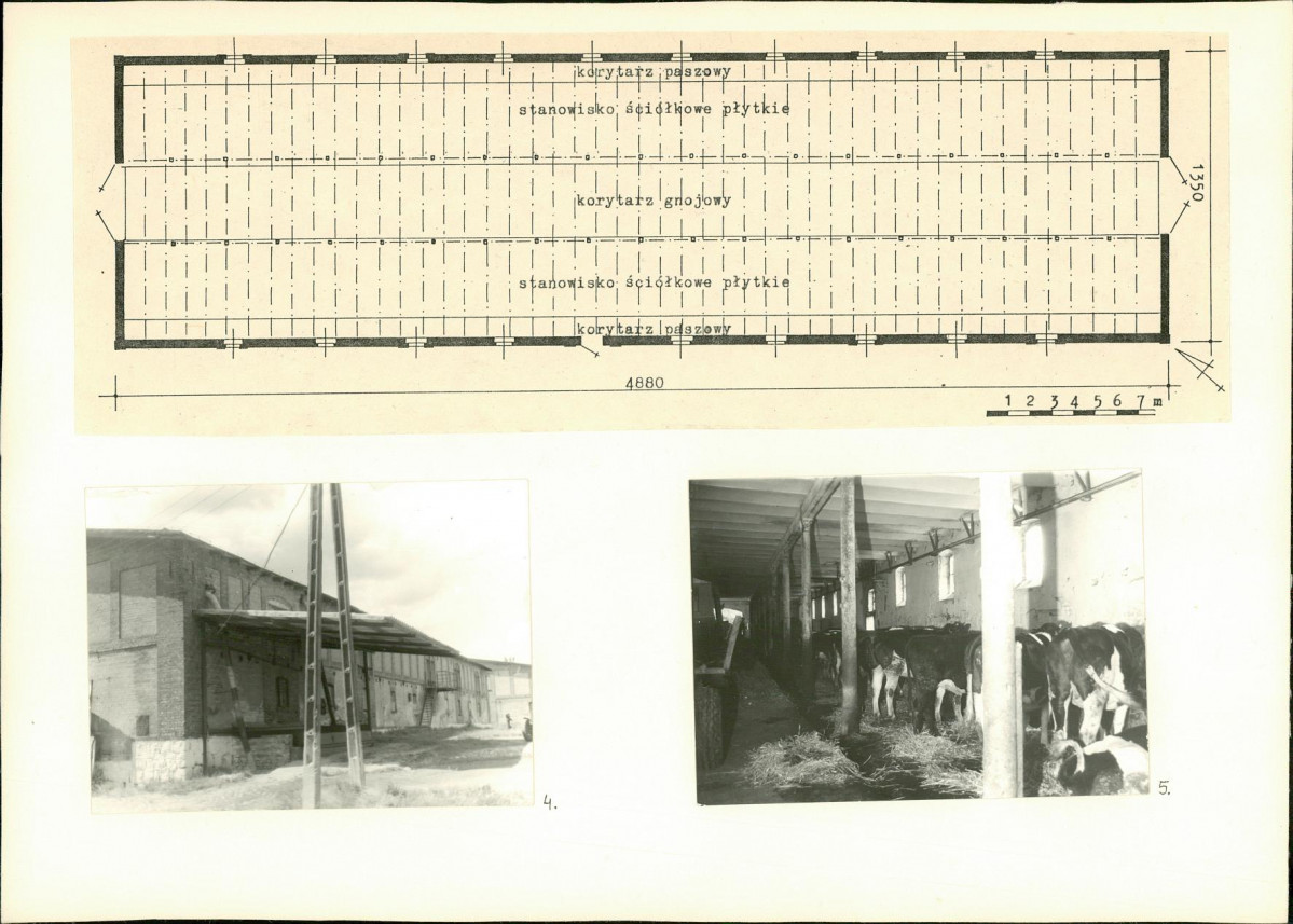 KB - Karta biała, skan nr 6