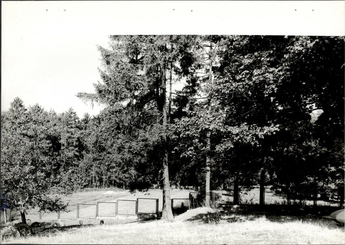 Ewidencja parkowa, skan nr 35