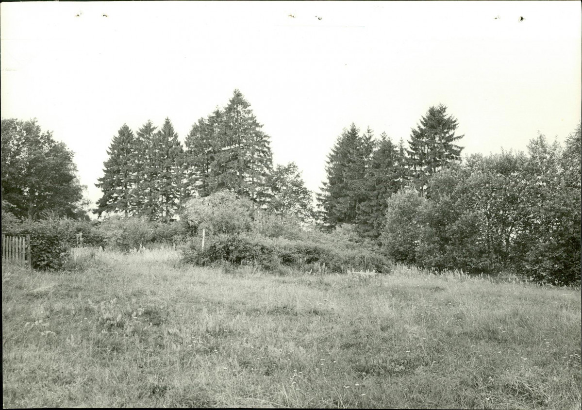 Ewidencja parkowa, skan nr 39