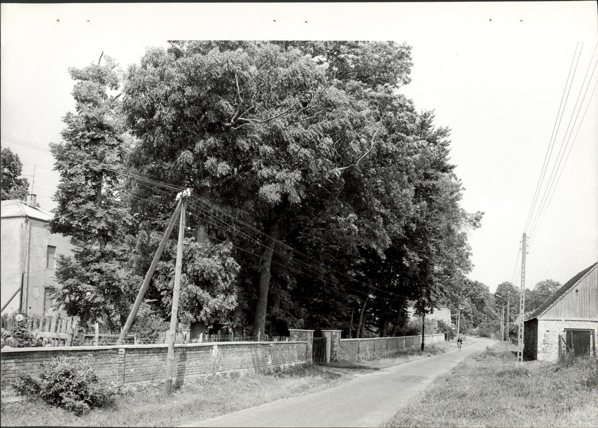 Ewidencja parkowa, skan nr 21