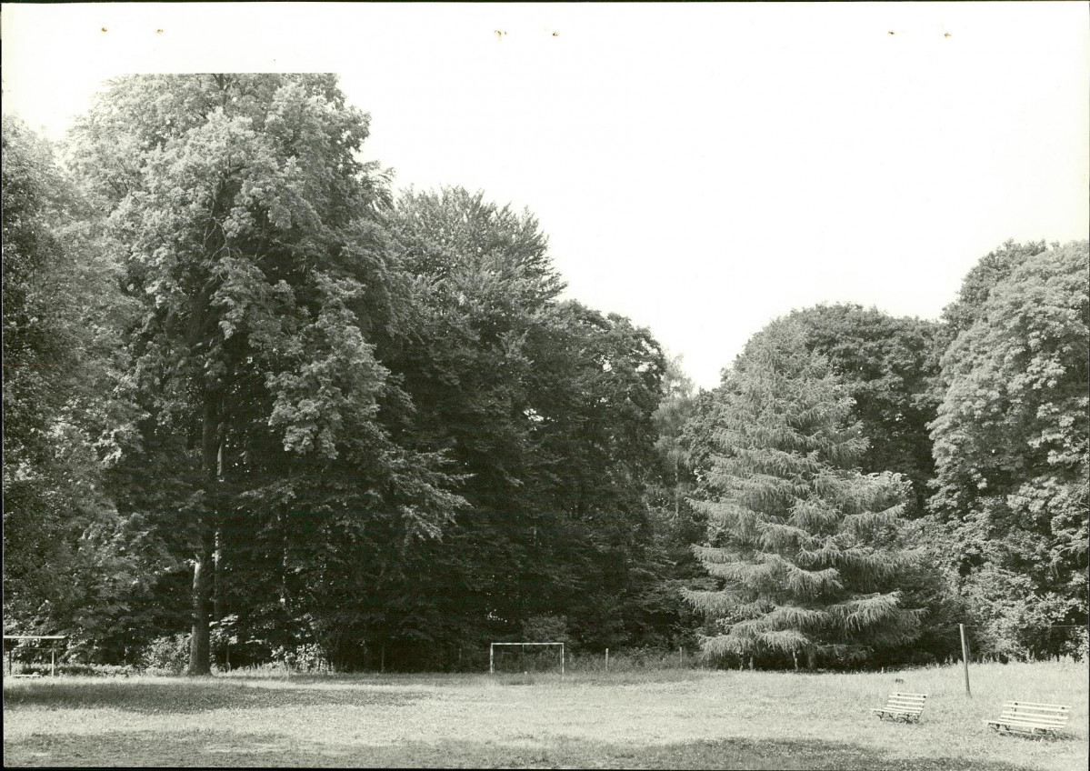 Ewidencja parkowa, skan nr 27