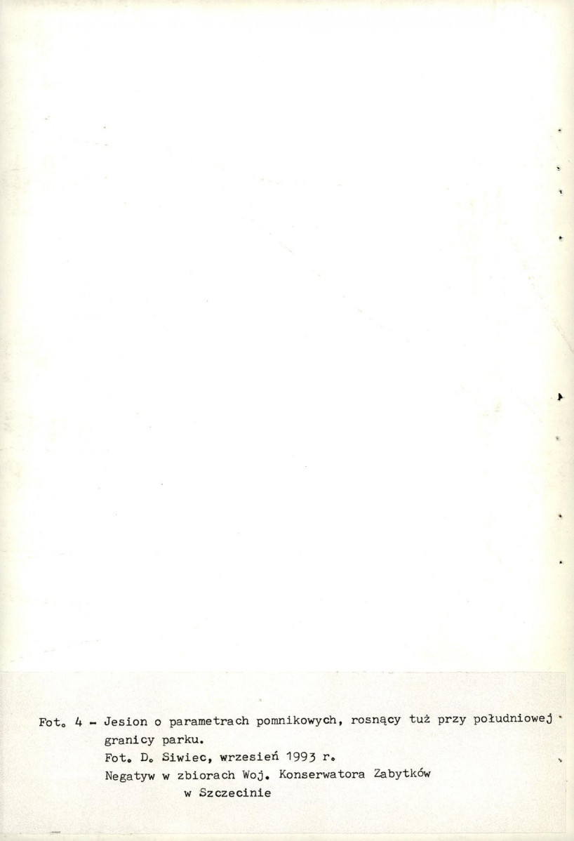 Ewidencja parkowa, skan nr 50