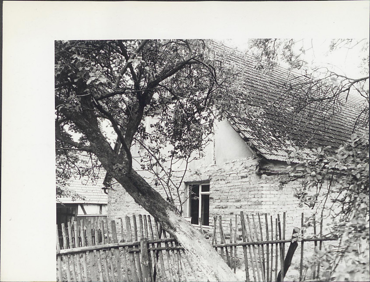 KB - Karta biała, skan nr 8