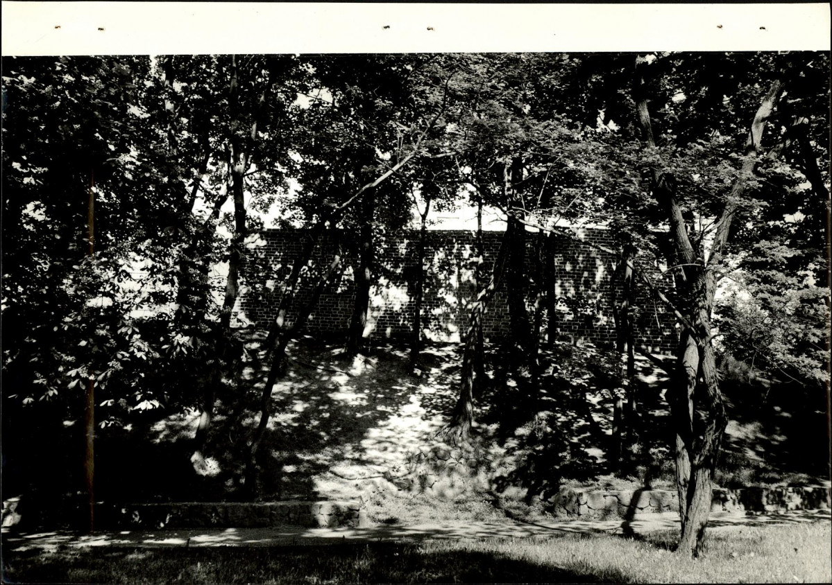 Ewidencja parkowa, skan nr 25