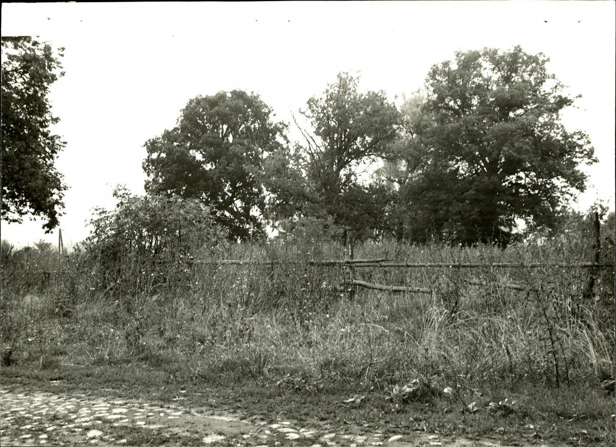 Ewidencja parkowa, skan nr 31