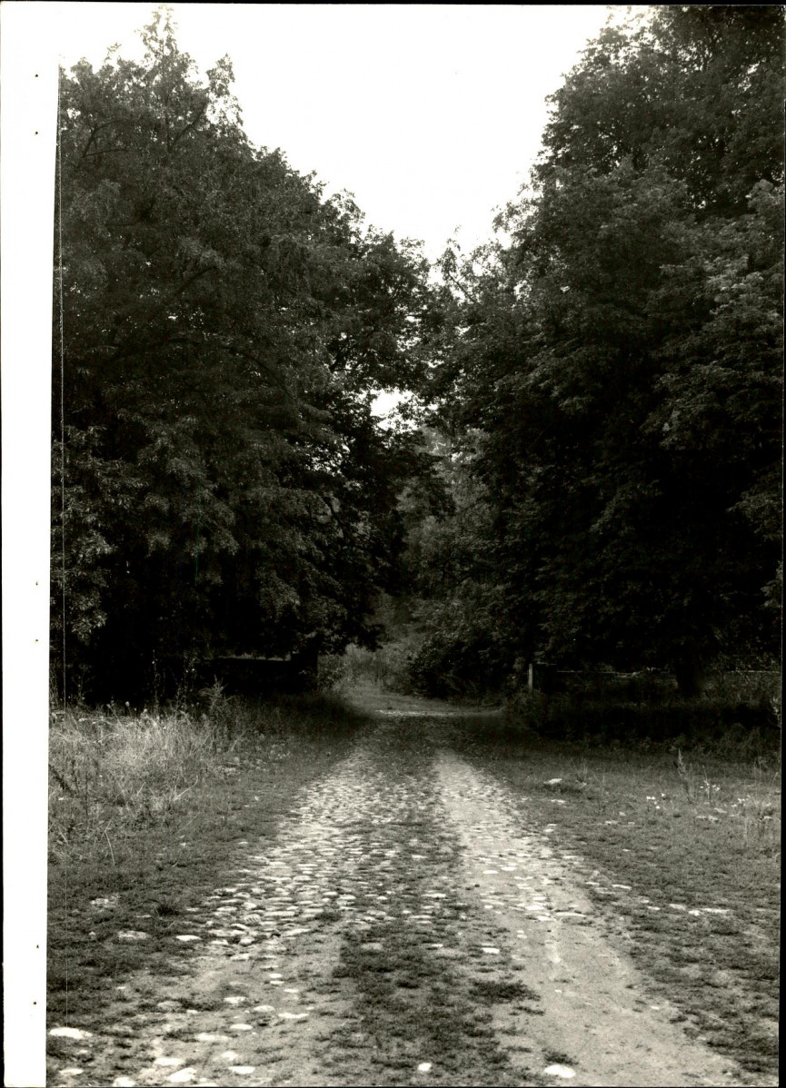 Ewidencja parkowa, skan nr 33