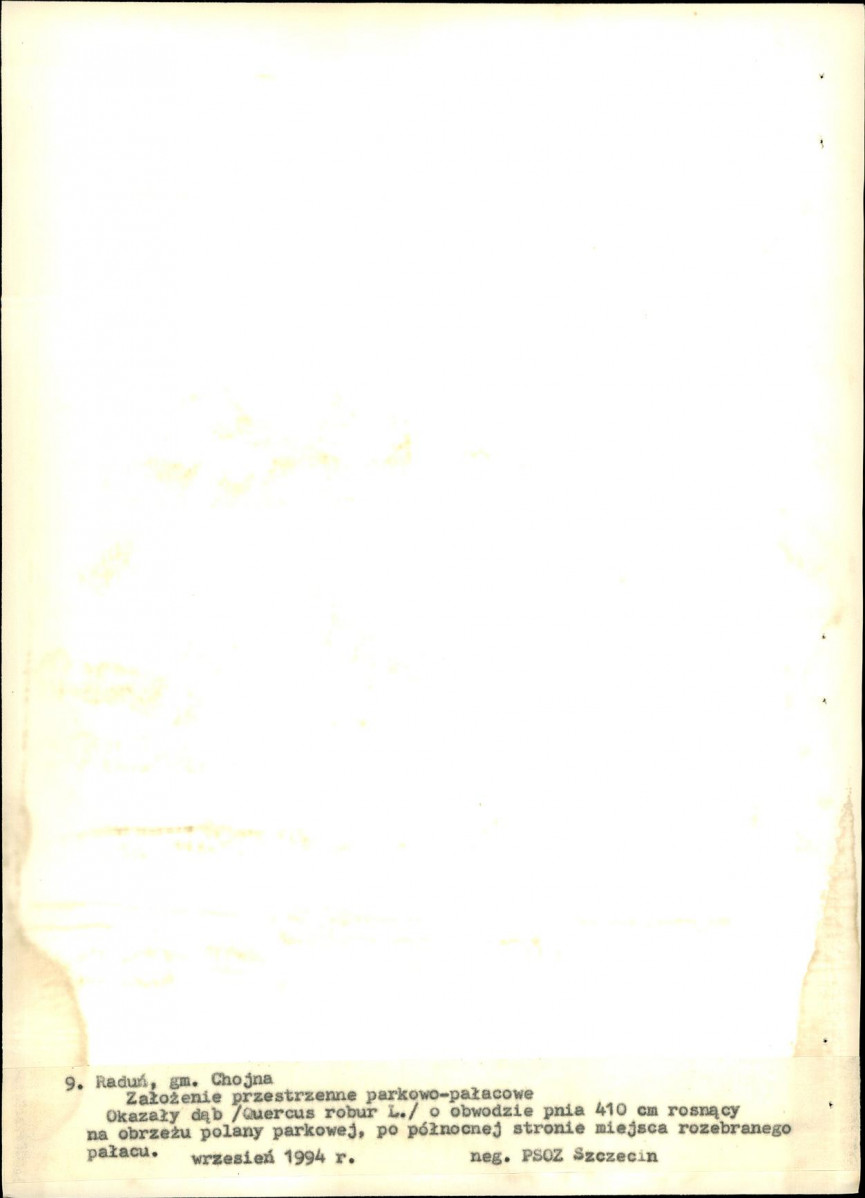 Ewidencja parkowa, skan nr 40