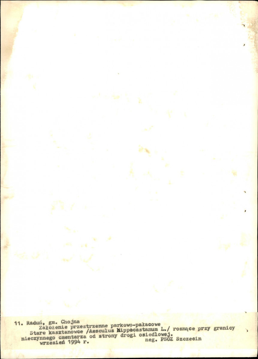 Ewidencja parkowa, skan nr 44