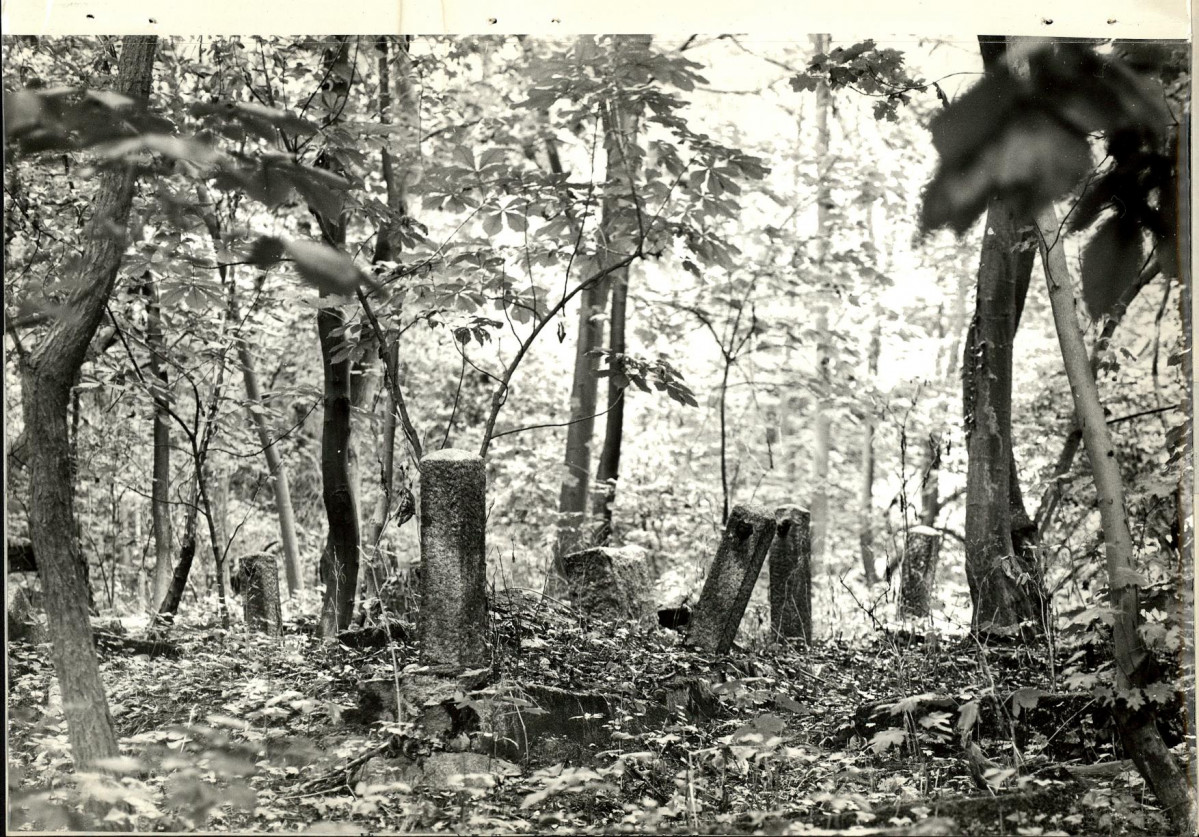 Ewidencja parkowa, skan nr 47