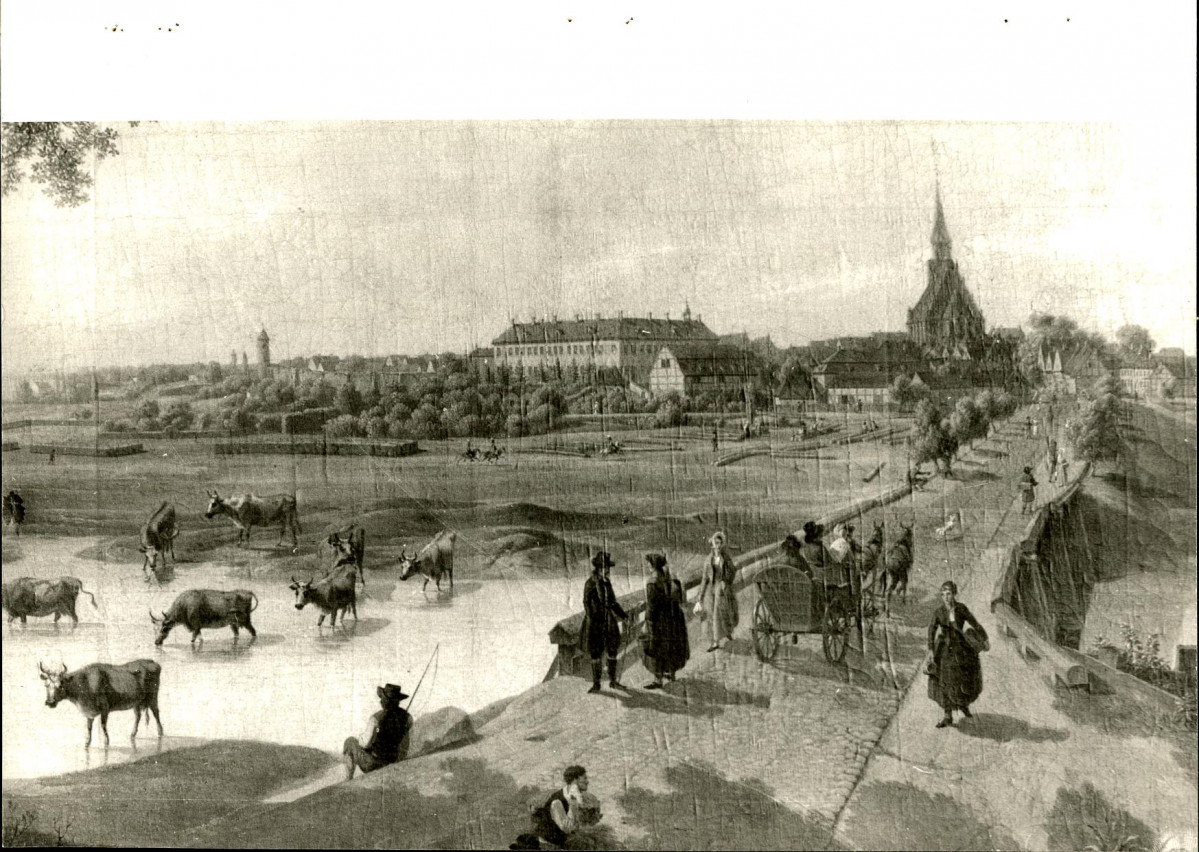 Ewidencja parkowa, skan nr 35