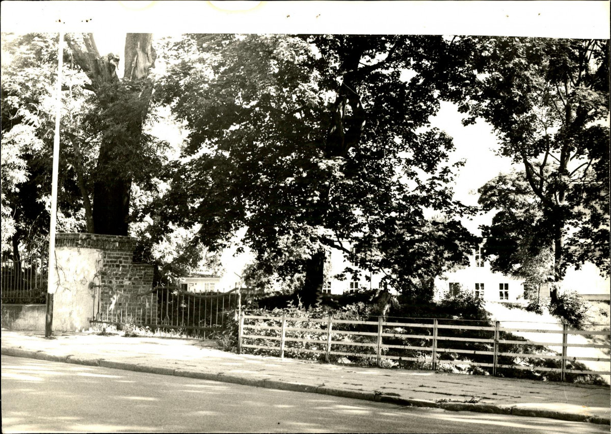 Ewidencja parkowa, skan nr 47