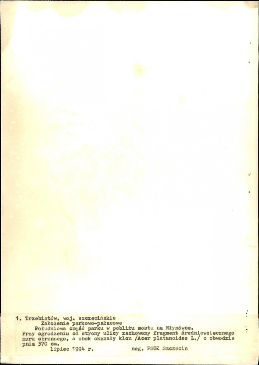 Ewidencja parkowa, skan nr 48